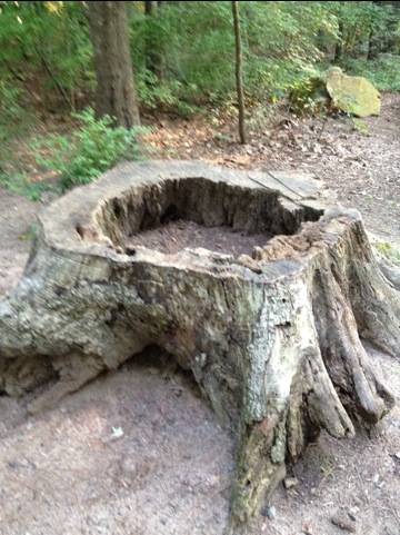 20120813-061655.jpg