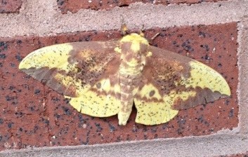 20120814-221213.jpg