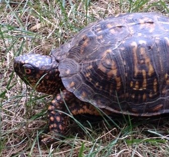 20120816-225458.jpg